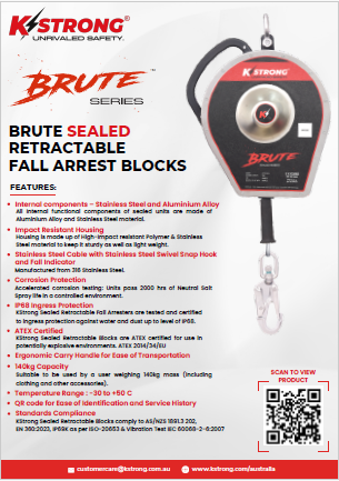 brute sealed flyer front
